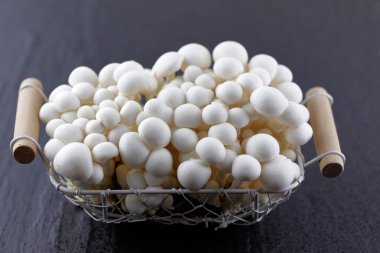 Ham ve beyaz Bunapi mantar