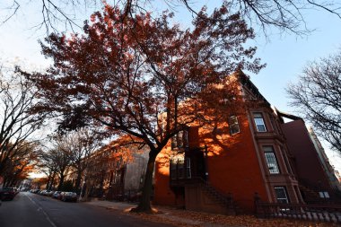  Brooklyn Mahallesi, New York, ABD 'de güzel bir sokak manzarası.
