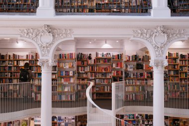 Bir sürü kitapla birlikte kütüphanenin içi