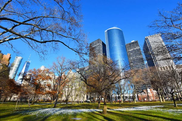 Vacker Utsikt Över Parken New York Usa — Stockfoto