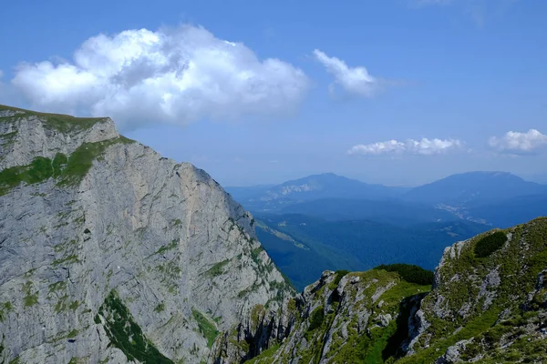 Peisaj Frumos Roci Plante Verzi Lângă Vârful Caraiman Munții Bucegi — Fotografie, imagine de stoc