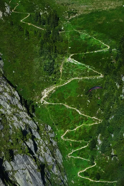 Pârtii Schi Planpraz Timpul Verii Deasupra Chamonix Traseul Drumeții Tour — Fotografie, imagine de stoc