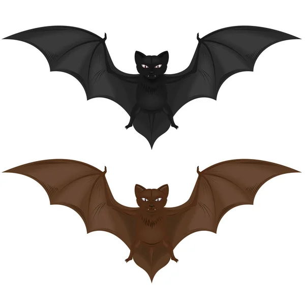 两种飞行哺乳动物的矢量设计 蝙蝠有两种颜色 全都是白人背景 — 图库矢量图片