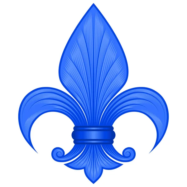 Vektorový Design Fleur Lis Ztvárnění Liliové Květiny Symbol Používaný Středověké — Stockový vektor