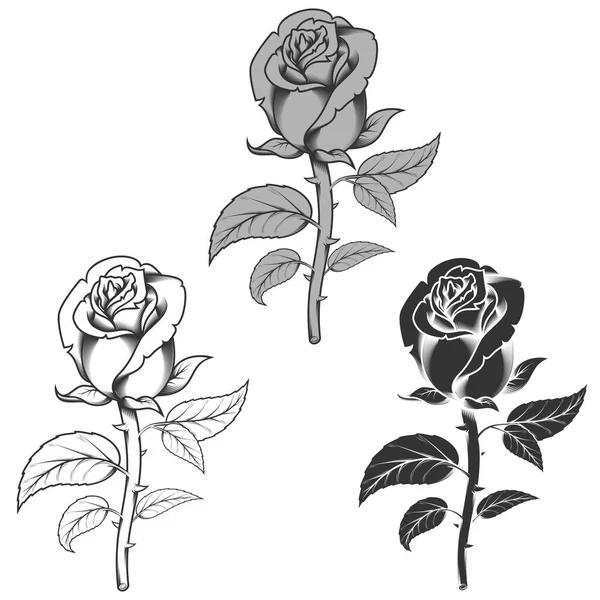 白を基調とした黒と白の3種類の花のベクトルデザイン — ストックベクタ