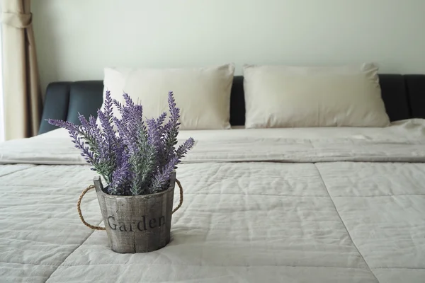 Flor de lavanda roxa na cama . — Fotografia de Stock