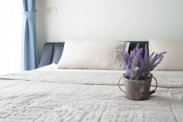 Łóżko z fioletowych kwiatów doniczki. — Zdjęcie stockowe