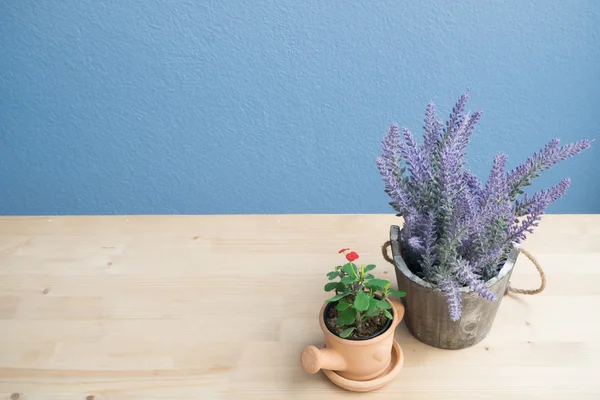 Tavolo in legno con fiore viola di lavanda ed Euphorbia milli fiore su vaso di fiori e muro in cemento . — Foto Stock