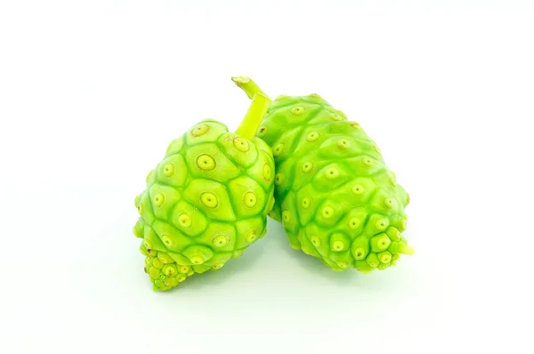 Noni Herb Royalty Free Stock Images