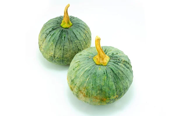 Green Pumpkin — Stock Photo, Image