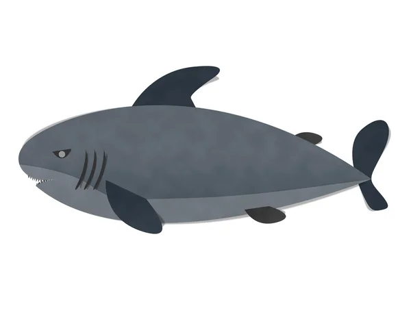 Акула на белом фоне — стоковое фото