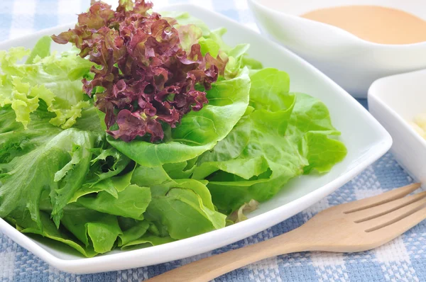 Gemengde groenten Salade. — Stockfoto