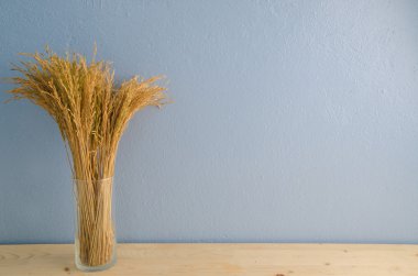 Ofis masaları ile su bardağı kuru pirinç ağacı.