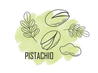 Kabuklu fındıkların farklı türleri