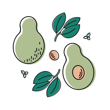 Avokado meyve seti. Tüm tropik meyveler, yarısı soyulmuş ve yeşil yapraklar beyaz arka planda izole edilmiş. Çizgi film tarzında vektör illüstrasyonu. Düz tasarım. 