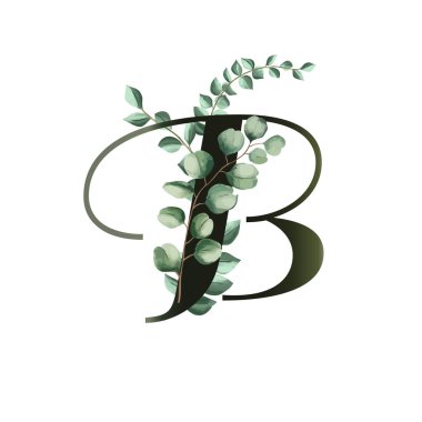 Okaliptüs yapraklı vektör çizimi. Çiçek alfabesi.