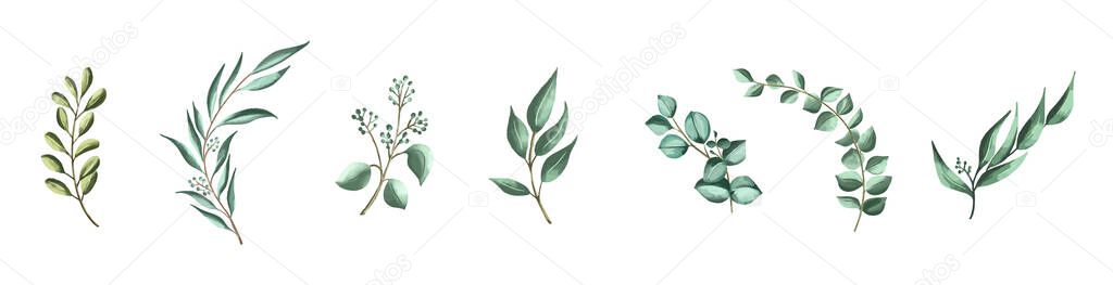 Vector set botanical elements - wildflowers, herbs and wild foliage
