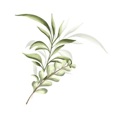 Suluboya resimlerde botanik ve vahşi yapraklar. Çerçeve asma, poster ve kart tasarımı.