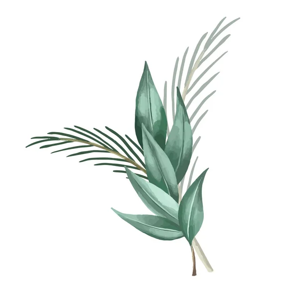 Set Aus Botanischen Und Wilden Blättern Aquarellmalerei Entwurf Für Rahmen — Stockvektor