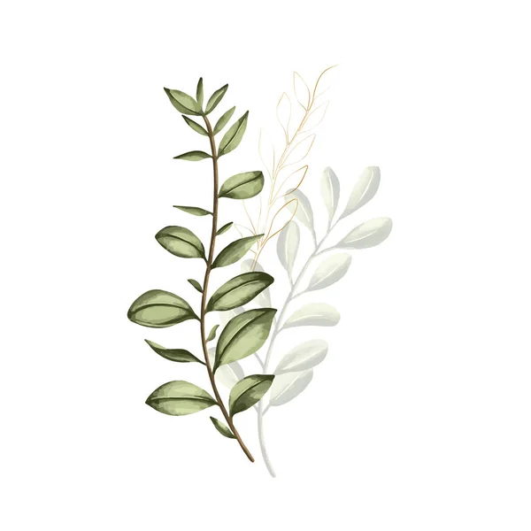 Set Botanic Wild Leaves Watercolor Painting Design Frame Hanging Poster — Stock Vector