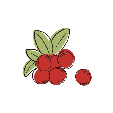 Beyaz arka plan üzerinde izole kızılcık. Şube kırmızı çilek ve yeşil yaprakları ile. Vektör çizim karikatür basit düz tarzı.