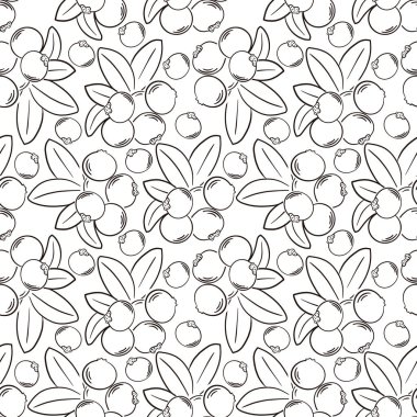 Kızılcık desenli. Kırmızı böğürtlen ve yeşil yapraklı bir dal. Güzel yiyecek ve doğa tasarım elementleri, parmak izi ve desenler için mükemmel.