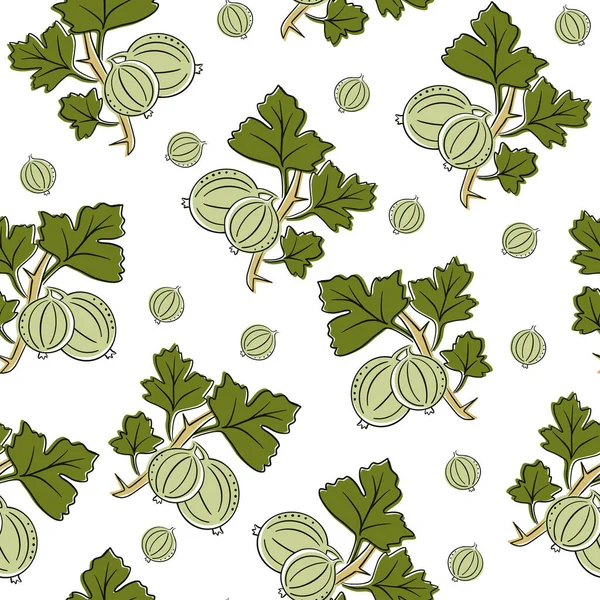 구레즈 베리, 텃밭 식물, 납작 한 디자인의 열매. — 스톡 벡터
