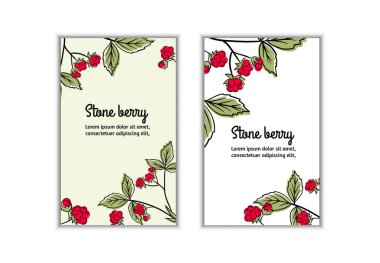 Stone berry vektör seti. Kırmızı tatlı meyveler ve yeşil yapraklar.