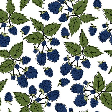 Yaz meyveleri seamless modeli. BlackBerry illüstrasyon vektör arka plan.