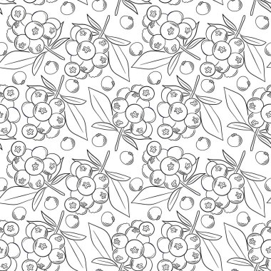 Elle çizilmiş yaban mersini dallarıyla vektörsüz desen. Güzel yiyecek ve doğa tasarım elementleri, parmak izi ve desenler için mükemmel.