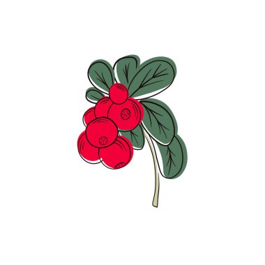 Yaprakları düz vektör ikonu olan kırmızı inek üzümü. Lingonberry bitkisi beyaz arka planda izole edilmiş. Sağlıklı organik olgun meyve çizimi