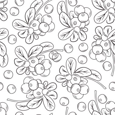 Vahşi orman, olgun inek böğürtleni ve yapraklarının desensiz vektör çizimleri. Güzel yiyecek ve doğa tasarım elementleri, parmak izi ve desenler için mükemmel.