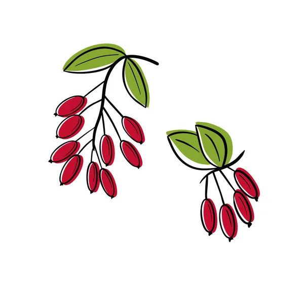 白い背景に葉を持つ赤い果実 枝の上の果実 果実の花や個々の果実 手描きベクトルイラスト 孤立した花の要素 — ストックベクタ