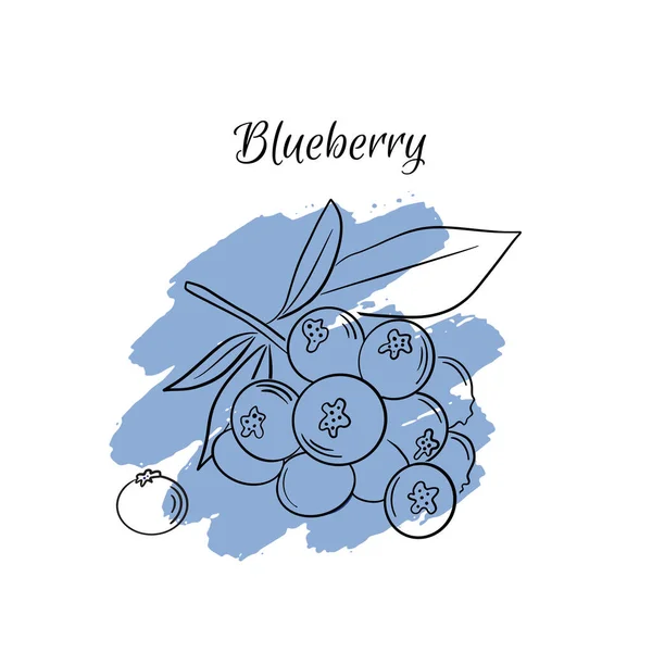 Vektor Cartoon Blaubeeren Mit Blättern Isoliert Auf Weißem Hintergrund Symbol — Stockvektor