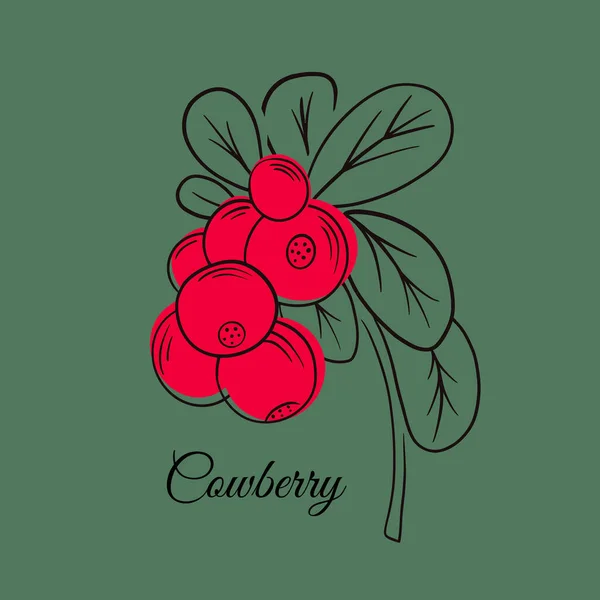 Rode Lingonberry Een Stengel Met Bladeren Vlakke Vector Pictogram Lingonberry — Stockvector
