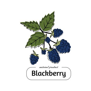 Beyaz arka planda yaprakları olan kırmızı böğürtlen.