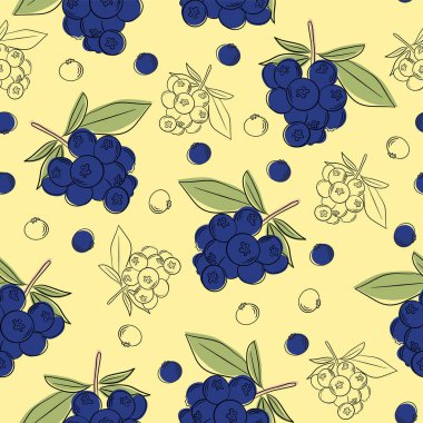 Beyaz arka planda yaprakları olan kırmızı böğürtlen.