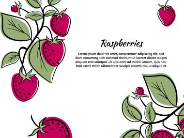 Renkli ahududu desenli el çizimi mürekkep..