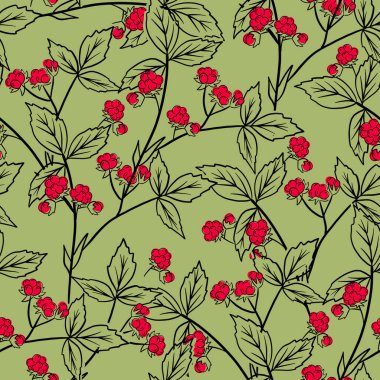 Stone berry vektör seti. Kırmızı tatlı meyveler ve yeşil yapraklar.