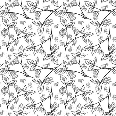 Stone berry vektör seti. Kırmızı tatlı meyveler ve yeşil yapraklar.