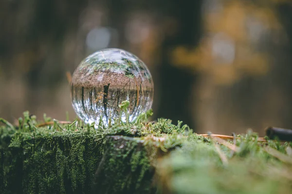 Bola Transparente Vidro Toco Coberto Com Musgo Conceito Protecção Ambiental Imagem De Stock