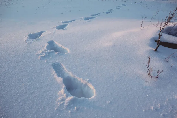 Footprints Deep Snow Snowdrift Winter Walk — Fotografia de Stock