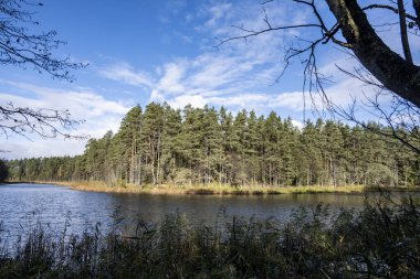 Sonbahar sarı kırsal arazisi Göl ve mavi gökyüzü