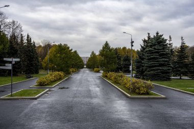 Sarı yapraklı bir sonbahar parkında doğru geometriye sahip bir sokak.