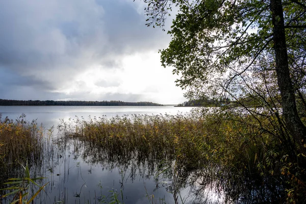 Herbstgelbe Ländliche Landschaft Mit See Und Blauem Himmel — Stockfoto