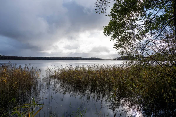 Herbstgelbe Ländliche Landschaft Mit See Und Blauem Himmel — Stockfoto
