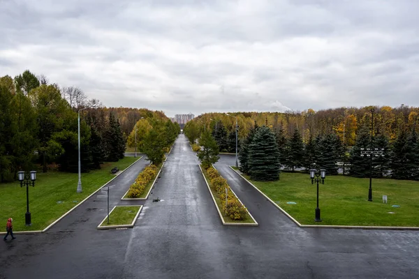 Aleja Prawidłową Geometrią Rozciągająca Się Oddali Jesiennym Parku Żółtymi Liśćmi — Zdjęcie stockowe