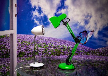 Masadaki iki lambayla mor çiçeklerin arka planına karşı hayat devam ediyor