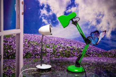 Masadaki iki lambayla mor çiçeklerin arka planına karşı hayat devam ediyor