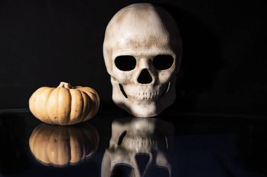 Siyah arka plandaki insan ve hayvanların iskeletleri ve iskeletleri tüm ölülerin değişiminin bir göstergesi olarak gösterilir.